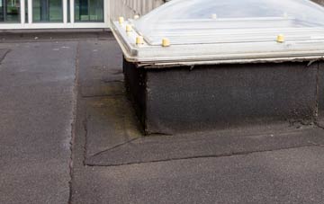 disadvantages of The Banks flat roofs